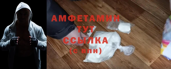 ECSTASY Горняк
