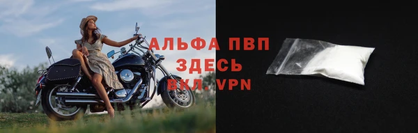 ECSTASY Горняк