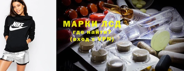 ECSTASY Горняк