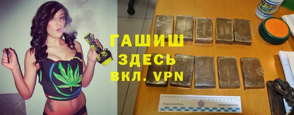 ECSTASY Горняк