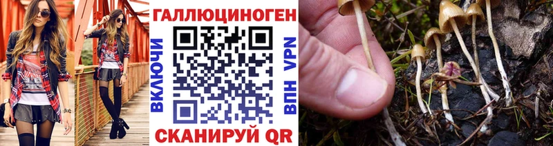 закладки  Новохопёрск  Псилоцибиновые грибы мухоморы 